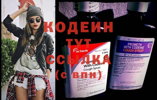метадон Гусь-Хрустальный