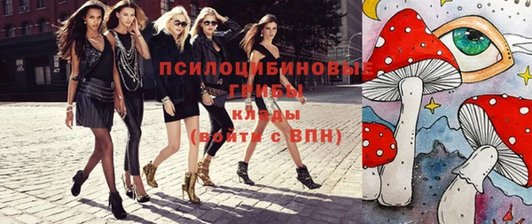 метадон Гусь-Хрустальный