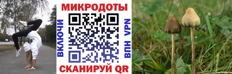 как найти наркотики  Дмитров  Псилоцибиновые грибы мухоморы 
