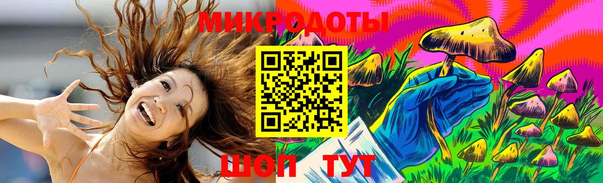 Галлюциногенные грибы прущие грибы Дмитров