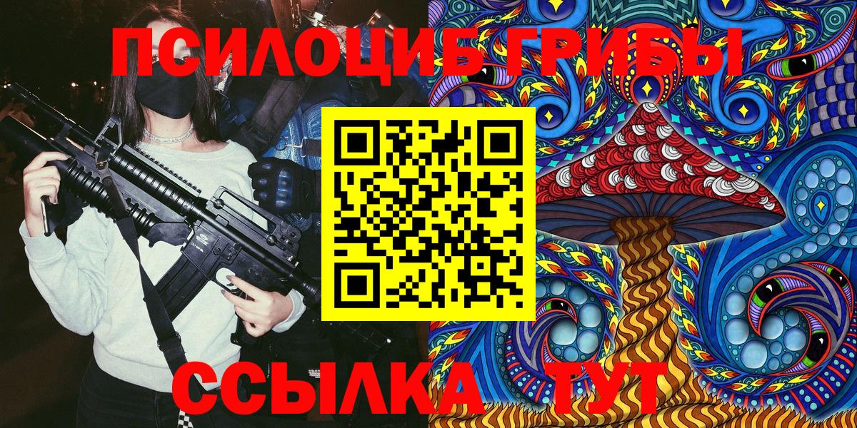Дмитров  Псилоцибиновые грибы Psilocybe  Вход с VPN 